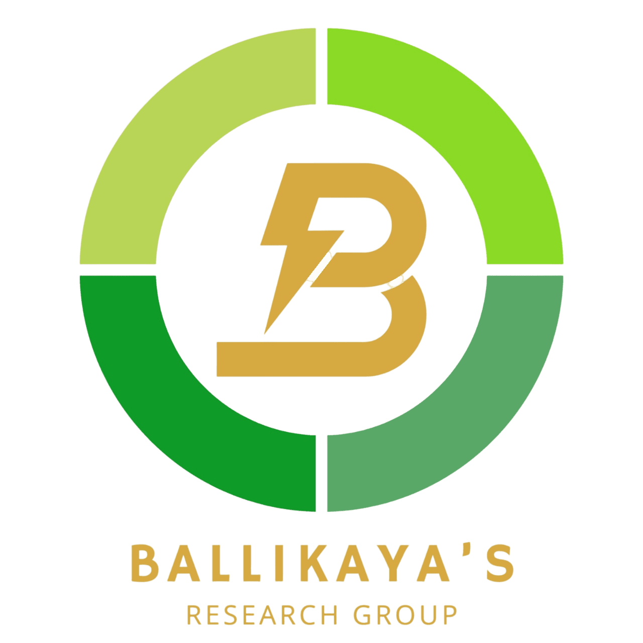 Ballikaya Research Group